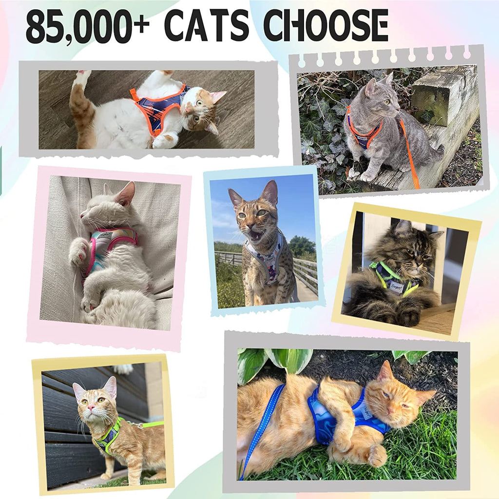 Cat Harness and Leash Set Stylish Escape Proof Cat Vest Harness Adjustable Breathable Pet Leash with Reflective Trim