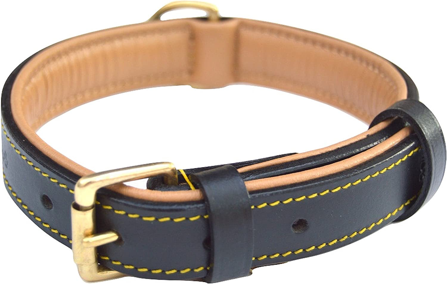 Black Leather Padded Dog Collar, Size Medium, 20" Long X 1" Wide, Neck Size 14.5" to 17.5" Inches