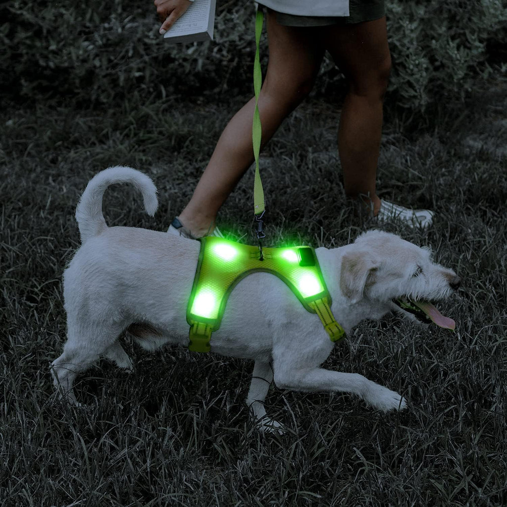 Light up Dog Harness - USB Rechargeable LED Dog Harness with Reflective Strips, Comfortable Adjustable Sizes (Green, Medium)