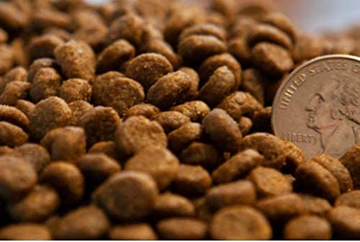 Pet Foods Grain Free Cat Food Made in USA [Grain Free Dry Cat Food with Superfood Ingredients for Food Sensitivities and Immune Health], Salmon and Menhaden Fish Meal Recipe, 11 Lb. Bag