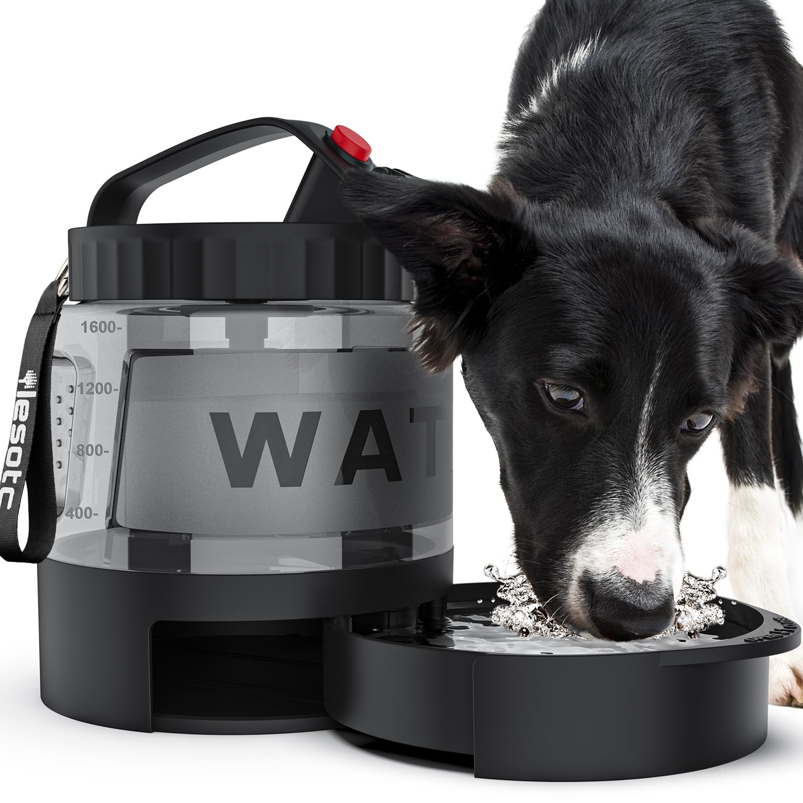 Large Dog Travel Water Bowl Dispenser-5